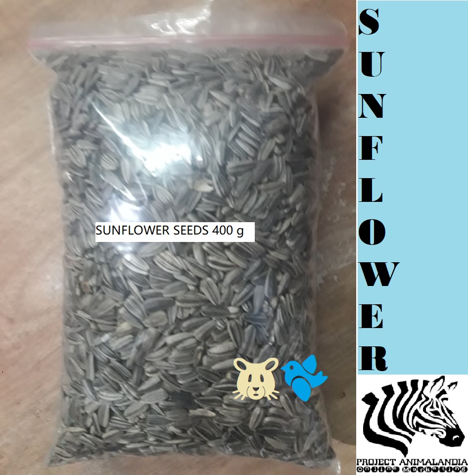 SUNFLOWER SEEDS for Hamsters & birds Lazada PH