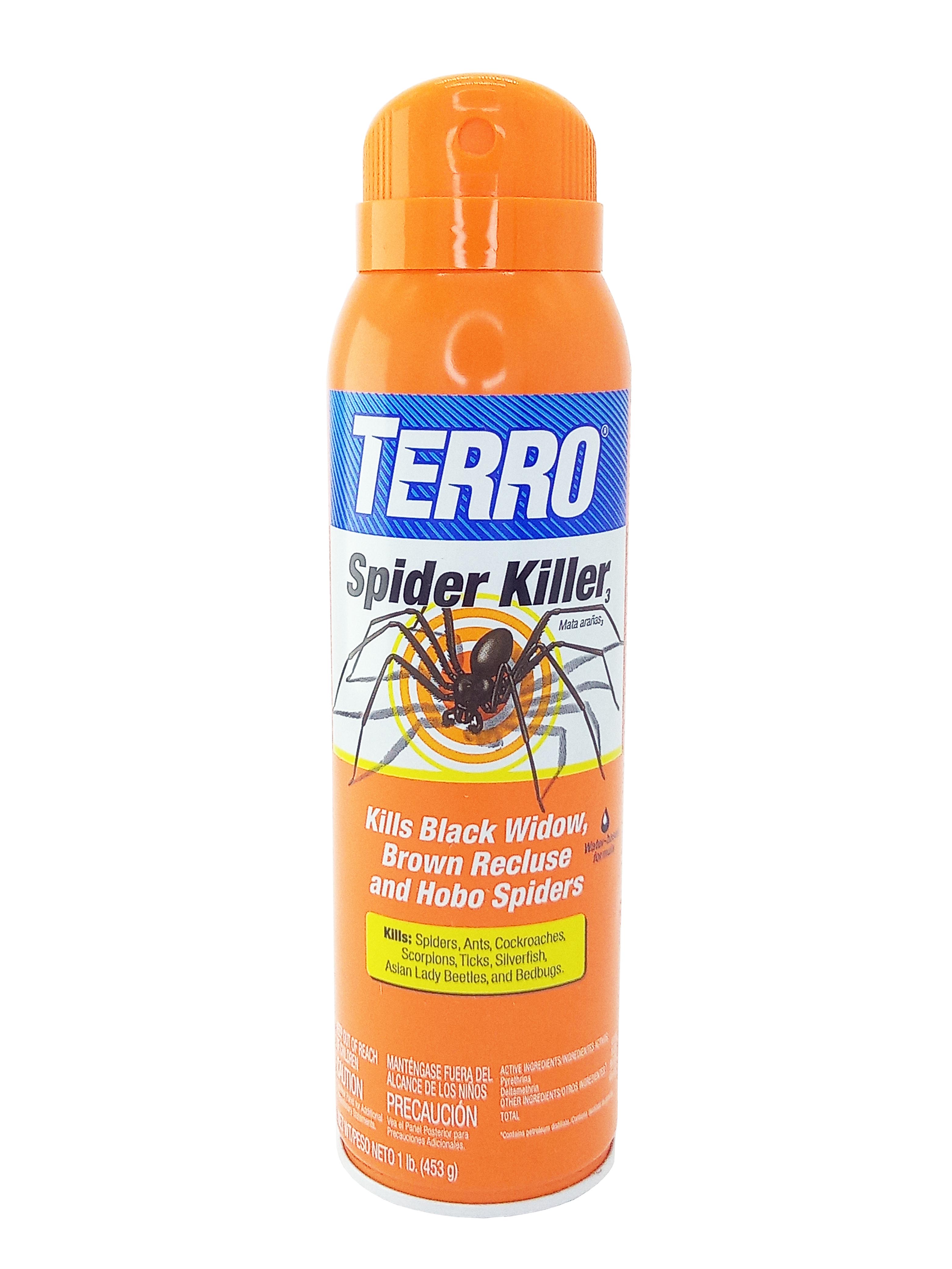 Terro Spider Killer Spray 1lb 453g | Lazada PH