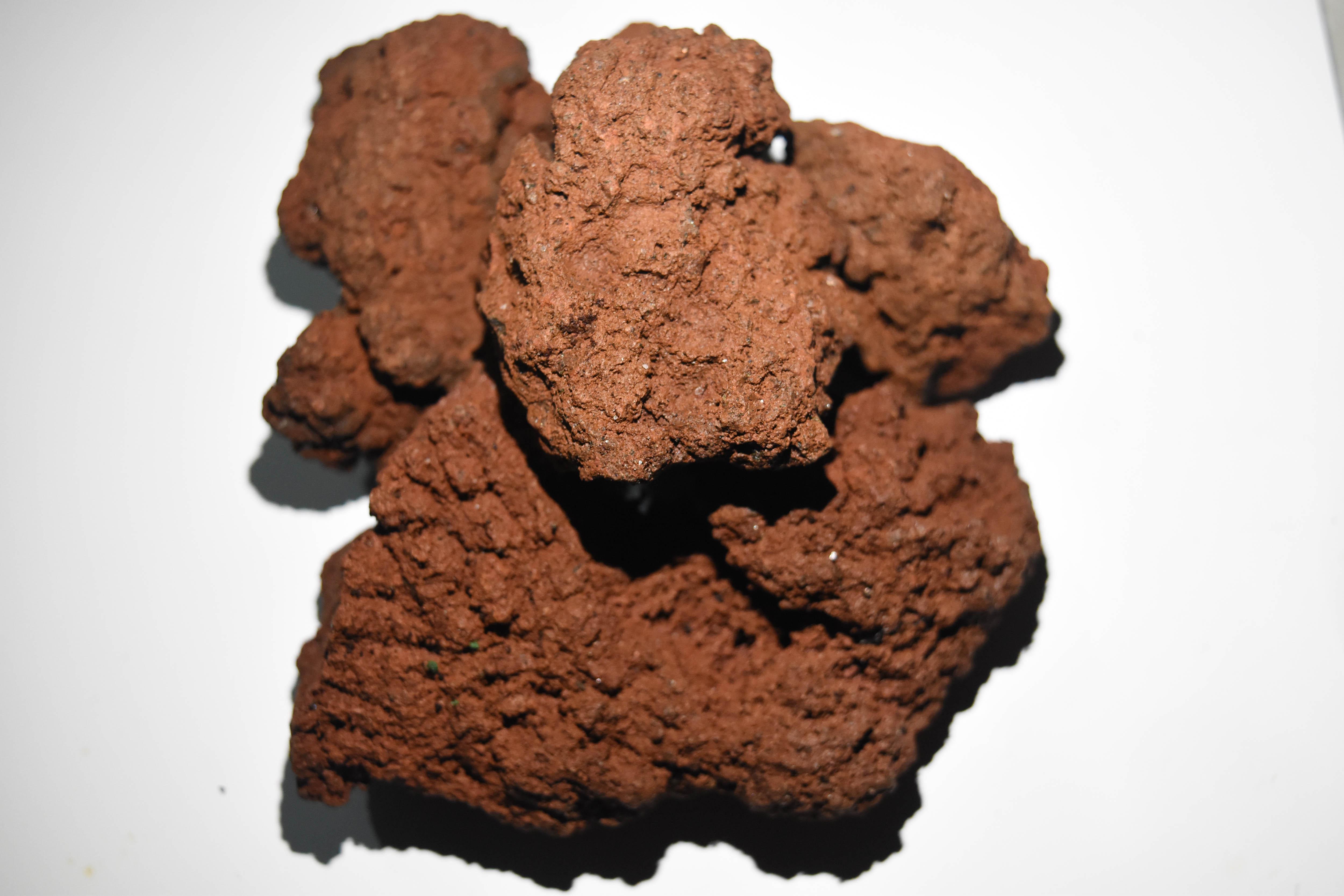 Buy Decorations At Best Price Online Lazada Com Ph