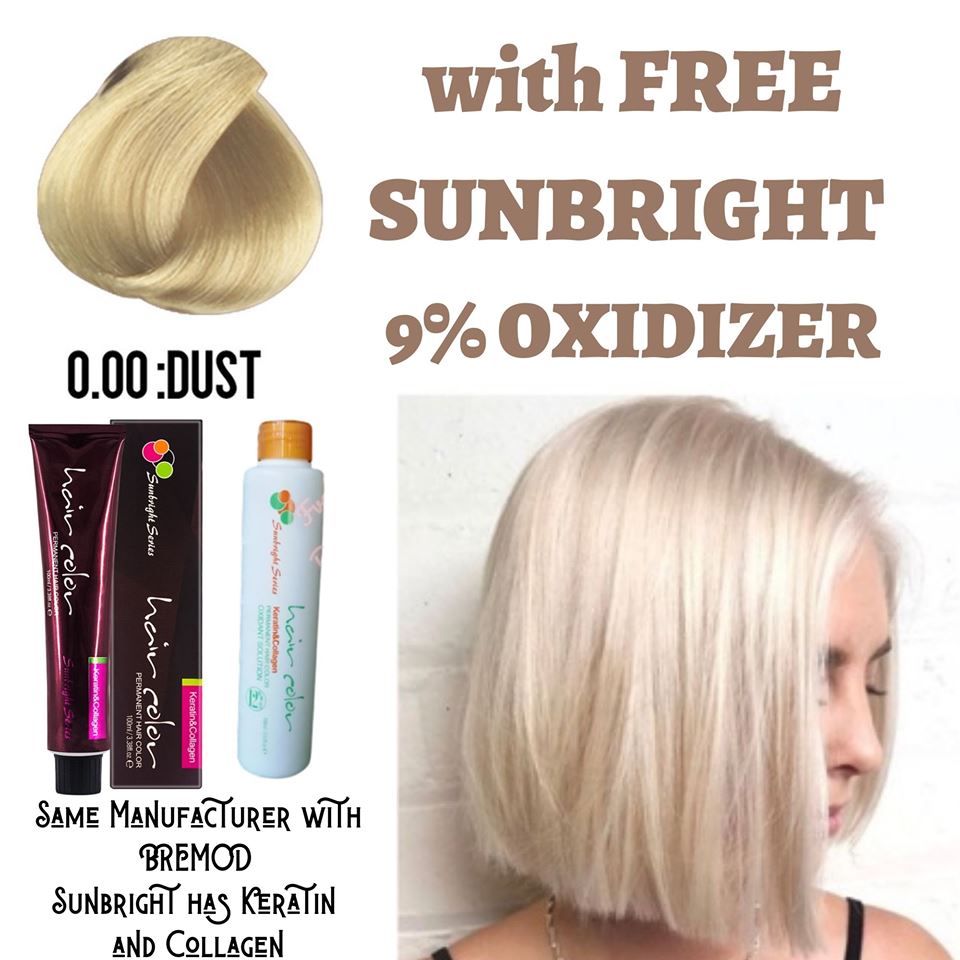Bliss Point  Dust + 9% Oxidizer Set Sunbright Series Hair Color 100ML  TUBE each | Lazada PH