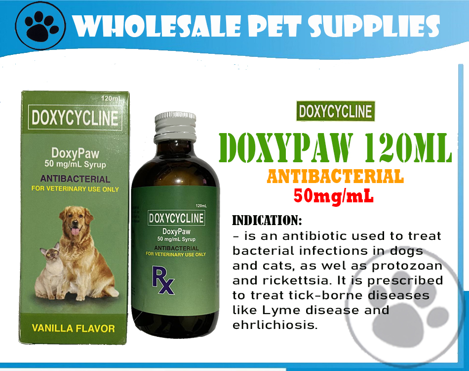 Veterinary Medical Dog Medicine Shop Near Me Shop Dr Goel's Dermisule Skin  Drops For Dogs Cats 30ml