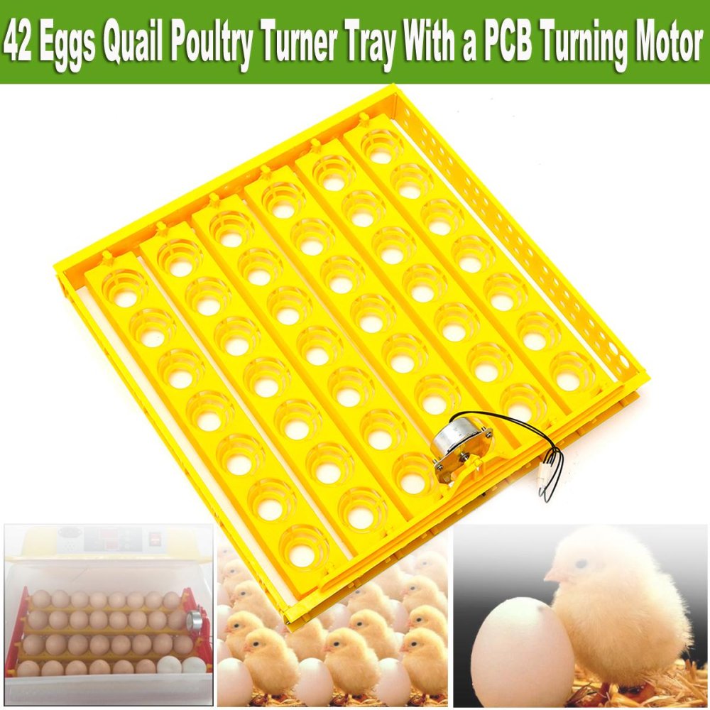 42 Egg Automatic Incubator Tray Digital Hatching Temperature Control