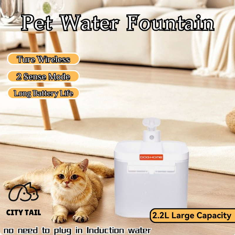 City Tail 2023 Hot Sale Cat Water Fountain 2.2l Automatic Water