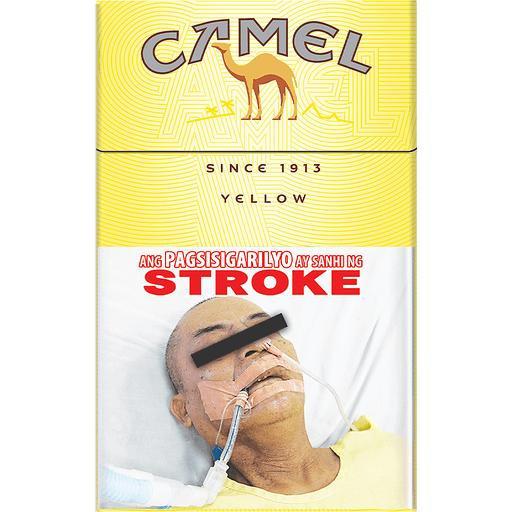 CAMEL CIGARETTES 20'S Lazada PH