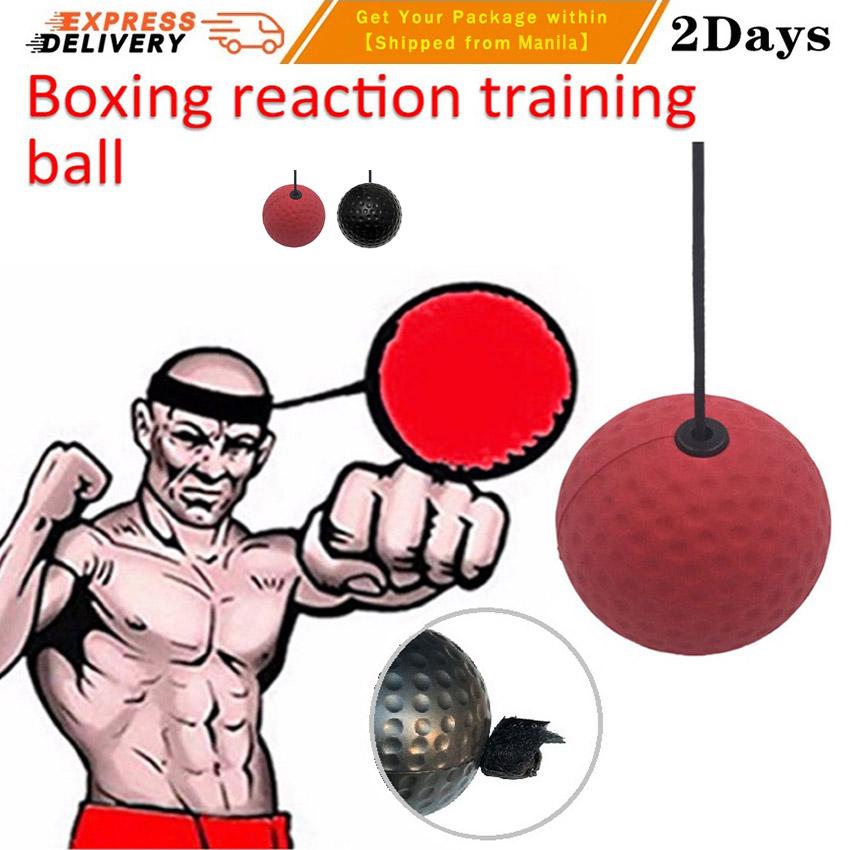 boxing training apparatus