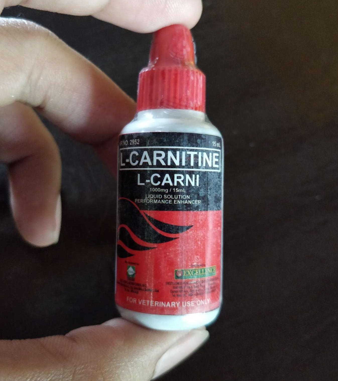 l carnitine for pigeon ROCKDOVE L-CARNI (L-CARNITINE) - 15ml L-Carnitine Feeding Supplies Pigeon  Energy Production Enhancer High-Level Amino Acid Supplement Stamina  Enhancing Bird Accessory - Lazada