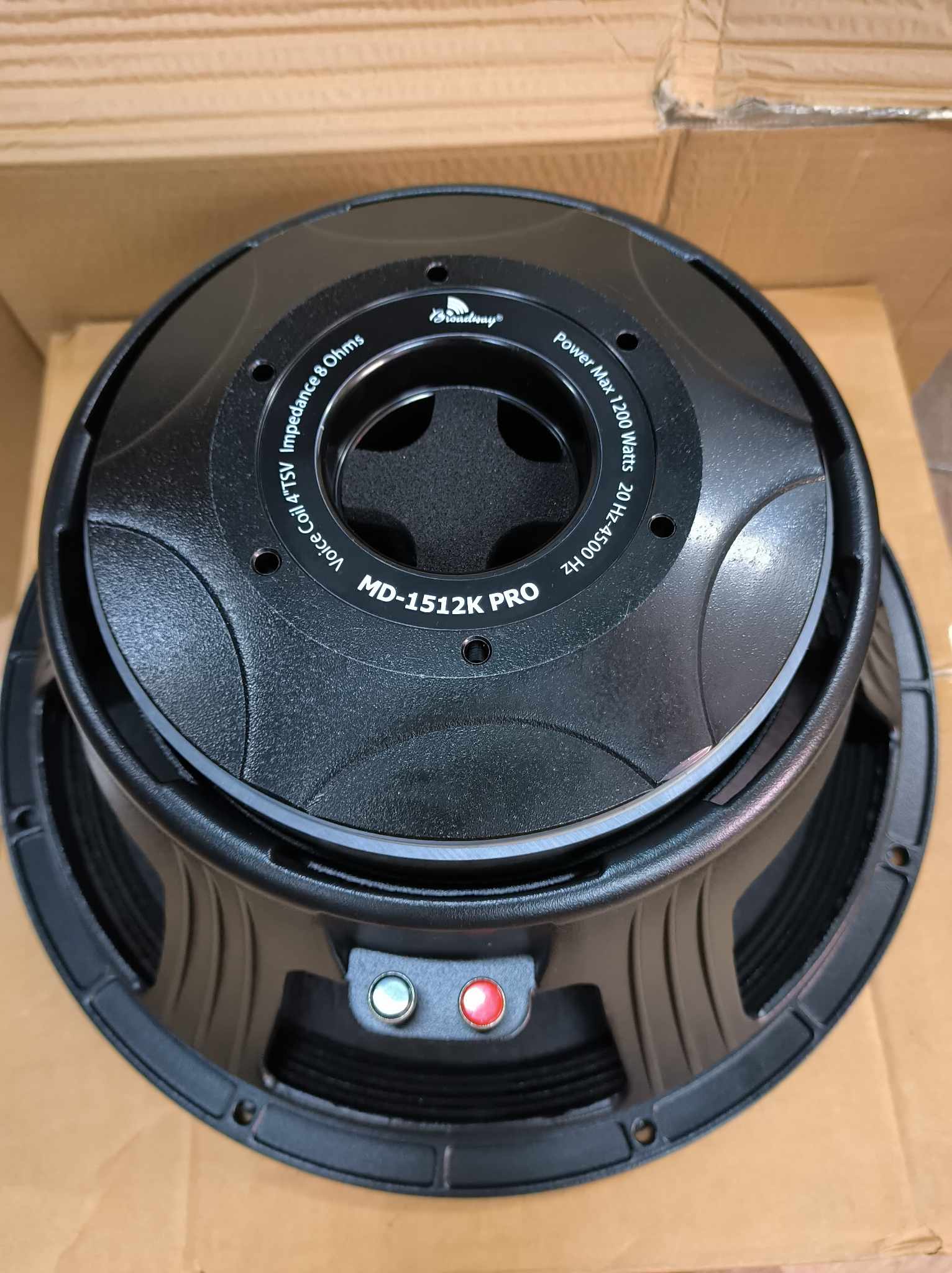 1500 Watt P Audio C18 1000 V2 C18 1000v3 P Audio Speaker C18 1000