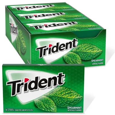 12 Trident Spearmint Bubble Gum Flavor 18pcs per pack x 12 1 whole pack