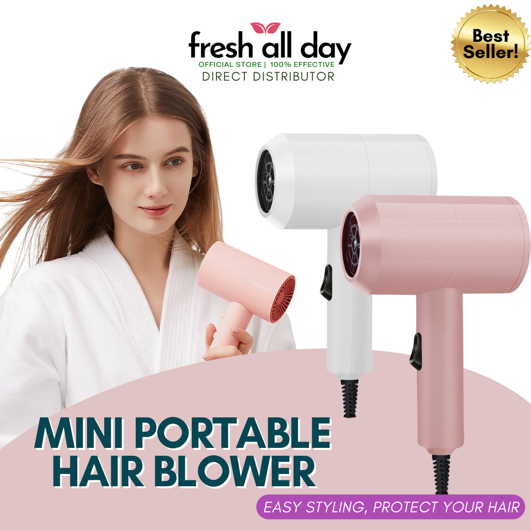 NEW Mini Hair Blower Hair Dryer Mini Portable Anion SimpleDesign Home