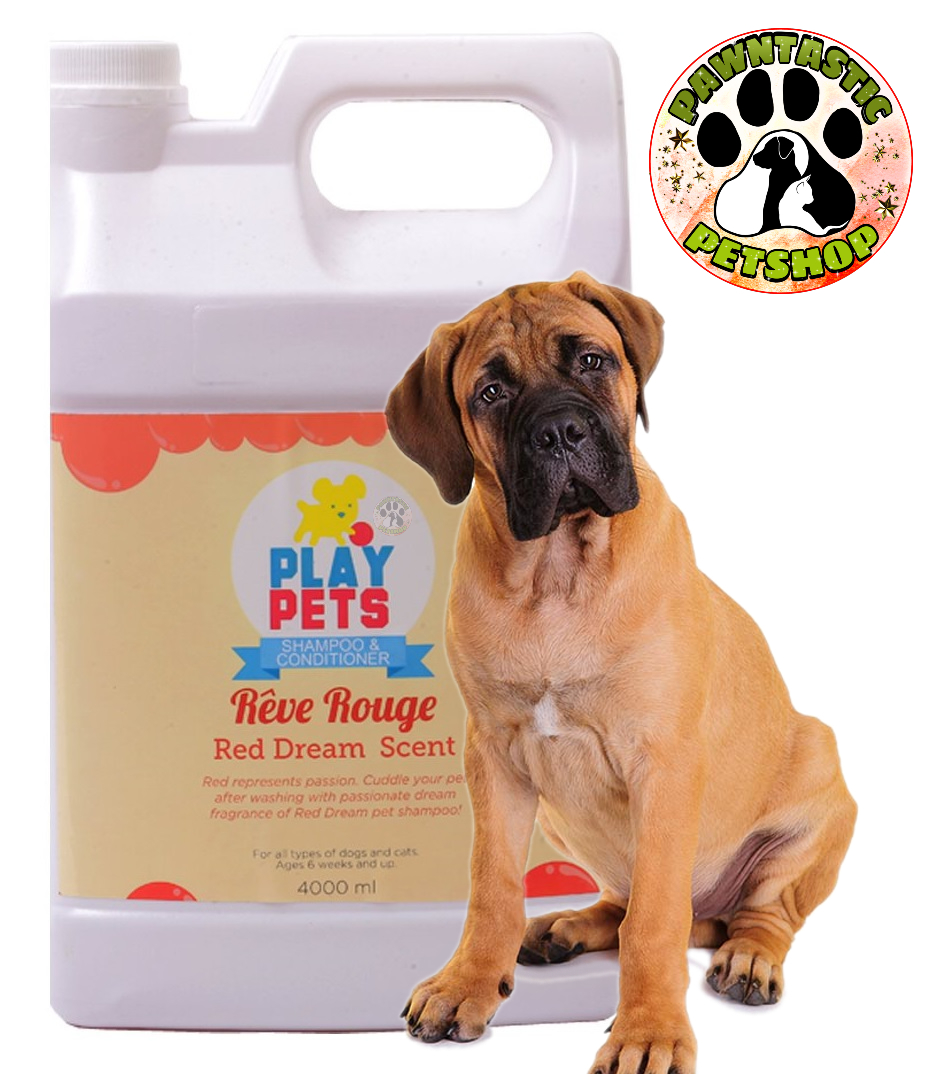 Play Pets Shampoo 4L Red Dream Lazada PH