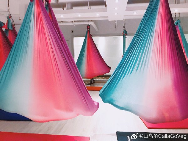 Vip yoga hammock
