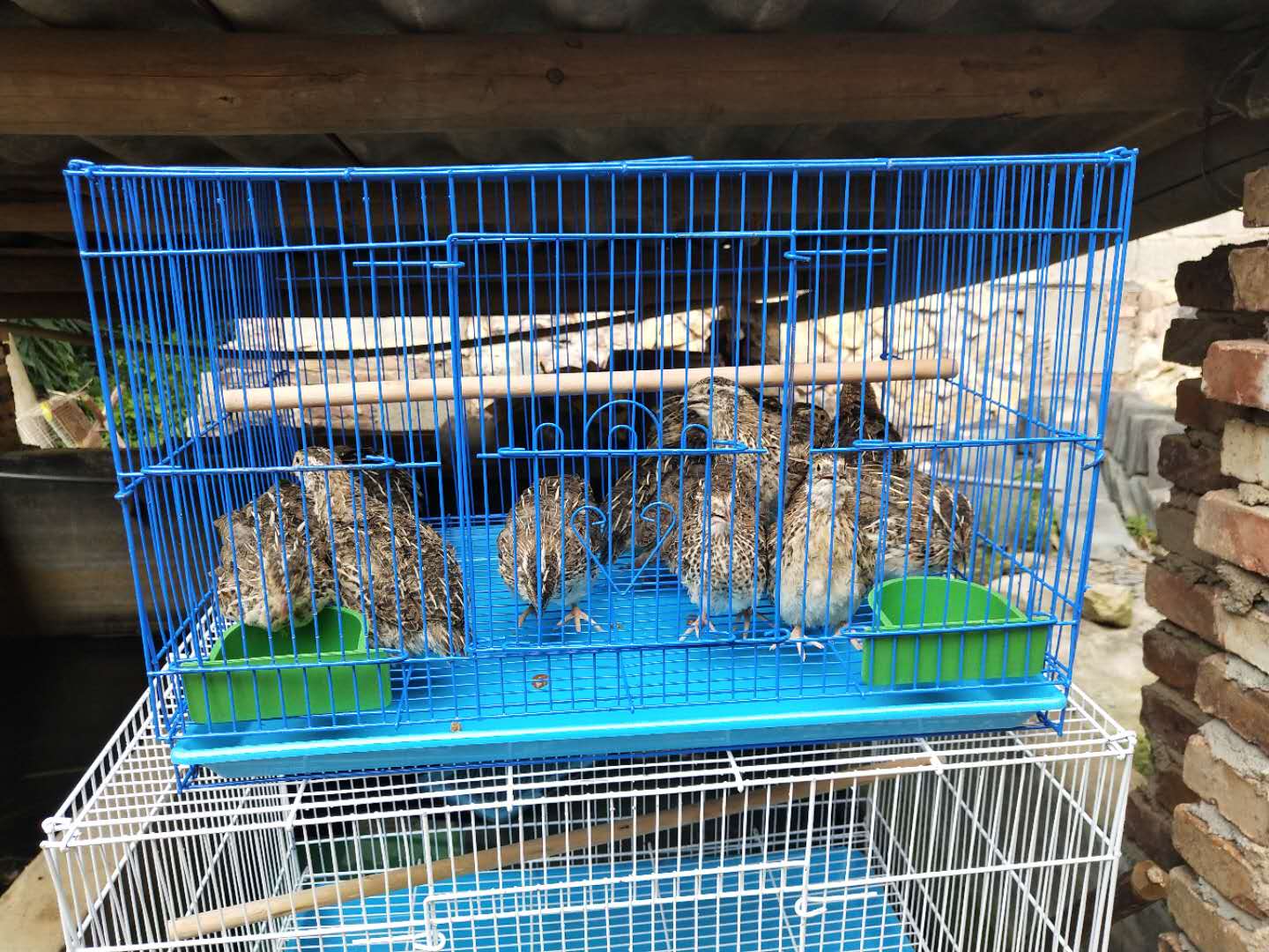 Household Quail Cage Egg Laying Quail Cage Breeding Bird Cage Quail