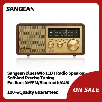 digital radio and bluetooth speaker