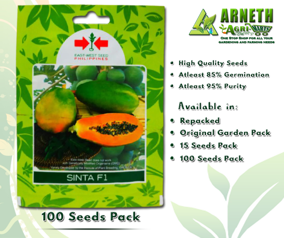 EASTWEST EAST WEST SEEDS SINTA F1 VARIETY PAPAYA SEEDS (100 SEEDS PACK ...