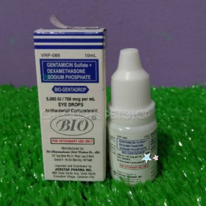 BioGenta Eye Drop 10ml ( For Animal Eye Care) Lazada PH