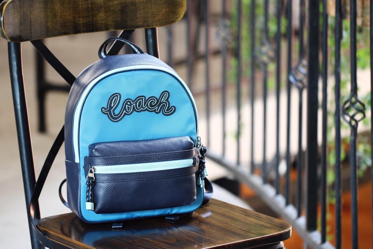 coach vale backpack