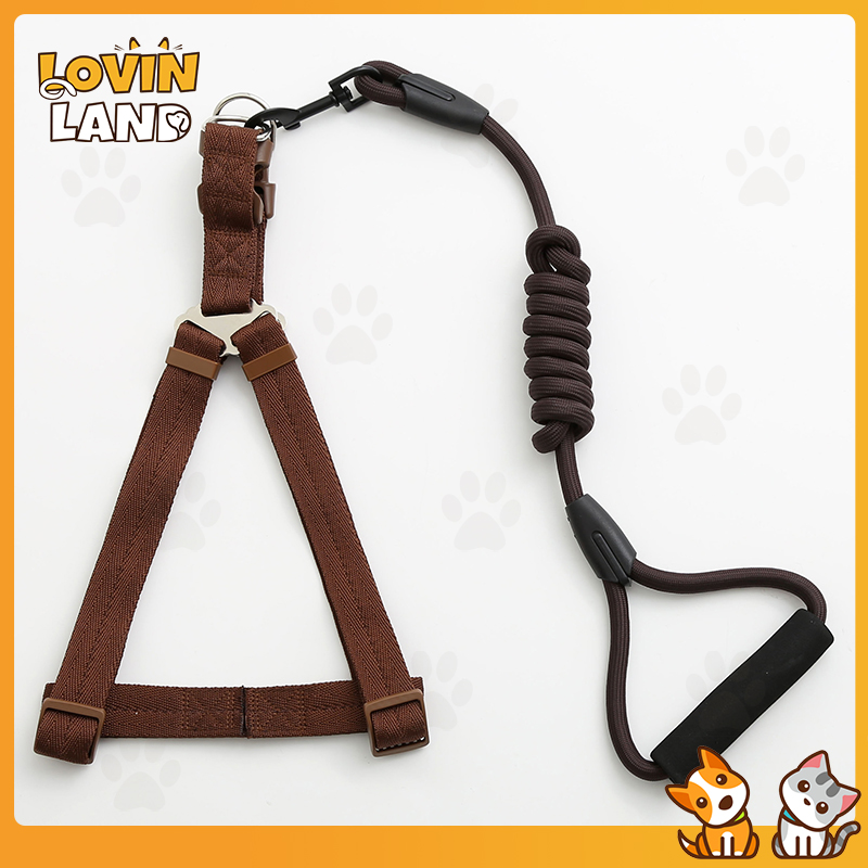 Brand New Pet Dog Chain Leash Pet Supplies Travel Dog Collar Traction ...