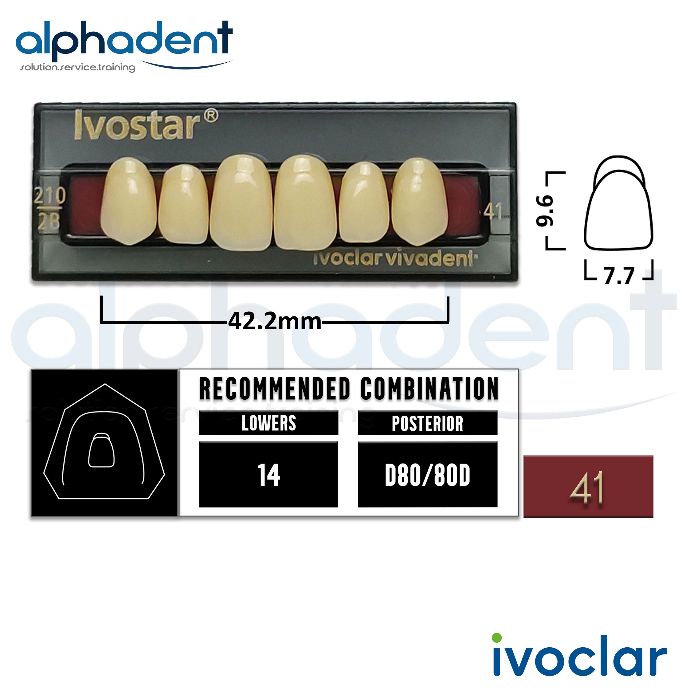 Ivostar® 1 X 6 Upper Anterior Resin Denture Teeth alphadentivoclar