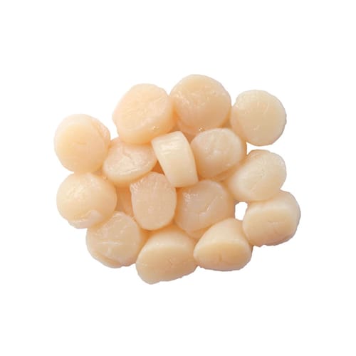 Frozen Scallop Meat (450500g) Lazada PH