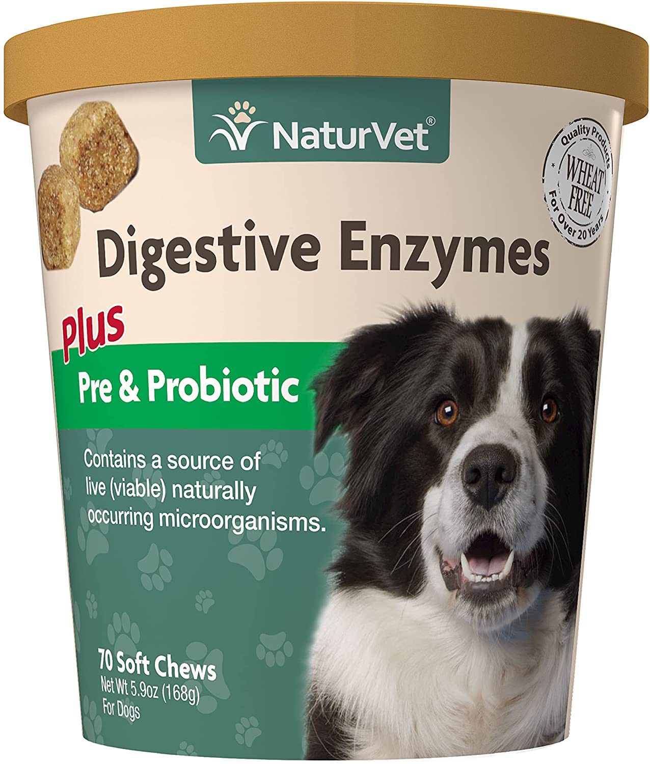 What Food Has Enzymes For Dogs