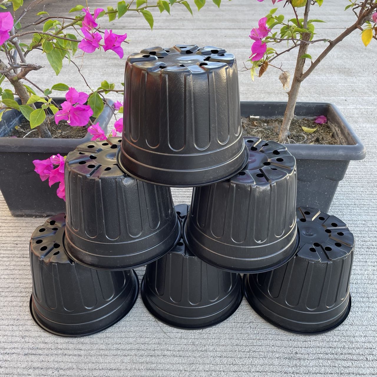 M&A PHC 6/12/24pcs (2232cm) Small PVC Pots/Black Pots for Flower