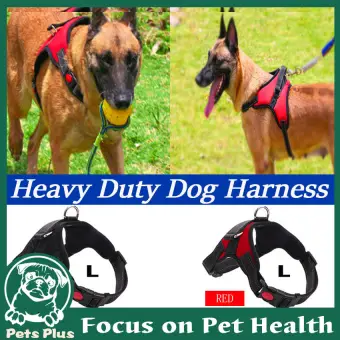 working dog pet supplies