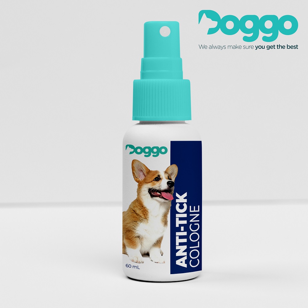 black dog perfume price