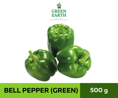 GREEN EARTH FRESH BELL PEPPER GREEN 500g