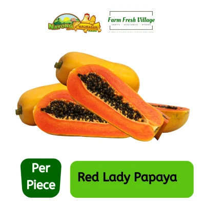 FARM FRESH VILLAGE - Red Lady Papaya - 1 piece (approx. 1.6 - 1.9 kg)
