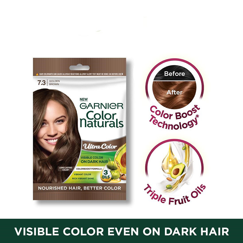 Garnier Paris Excellence Creme Triple Care Hair Color - Gray Hair, Retouch,  Full Coverage Hair Dye Permanent( Frosted Brown) | Lazada PH