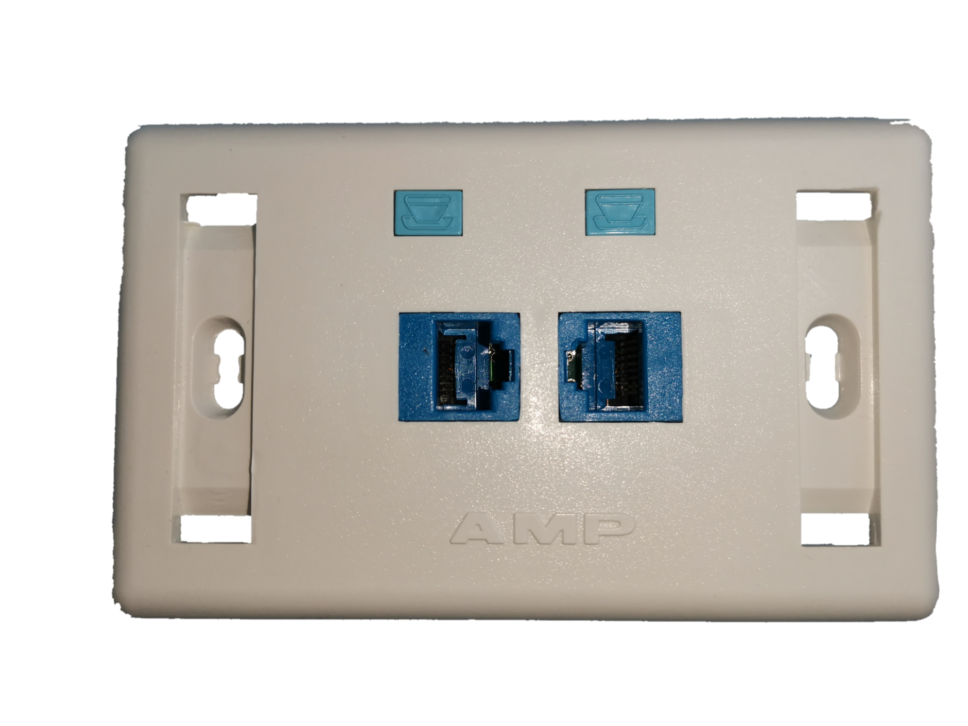 LAN Outlet 2 Gang CAT6 with Rectangular Plate ( AMP) Lazada PH