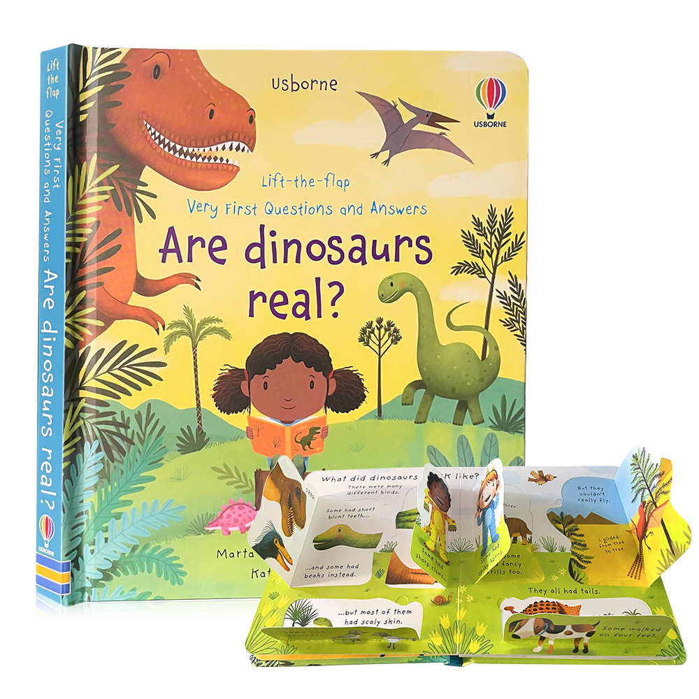 Usborne Picture Book Lift The Flap Book Very First Questions and Answers Board Book for Kids