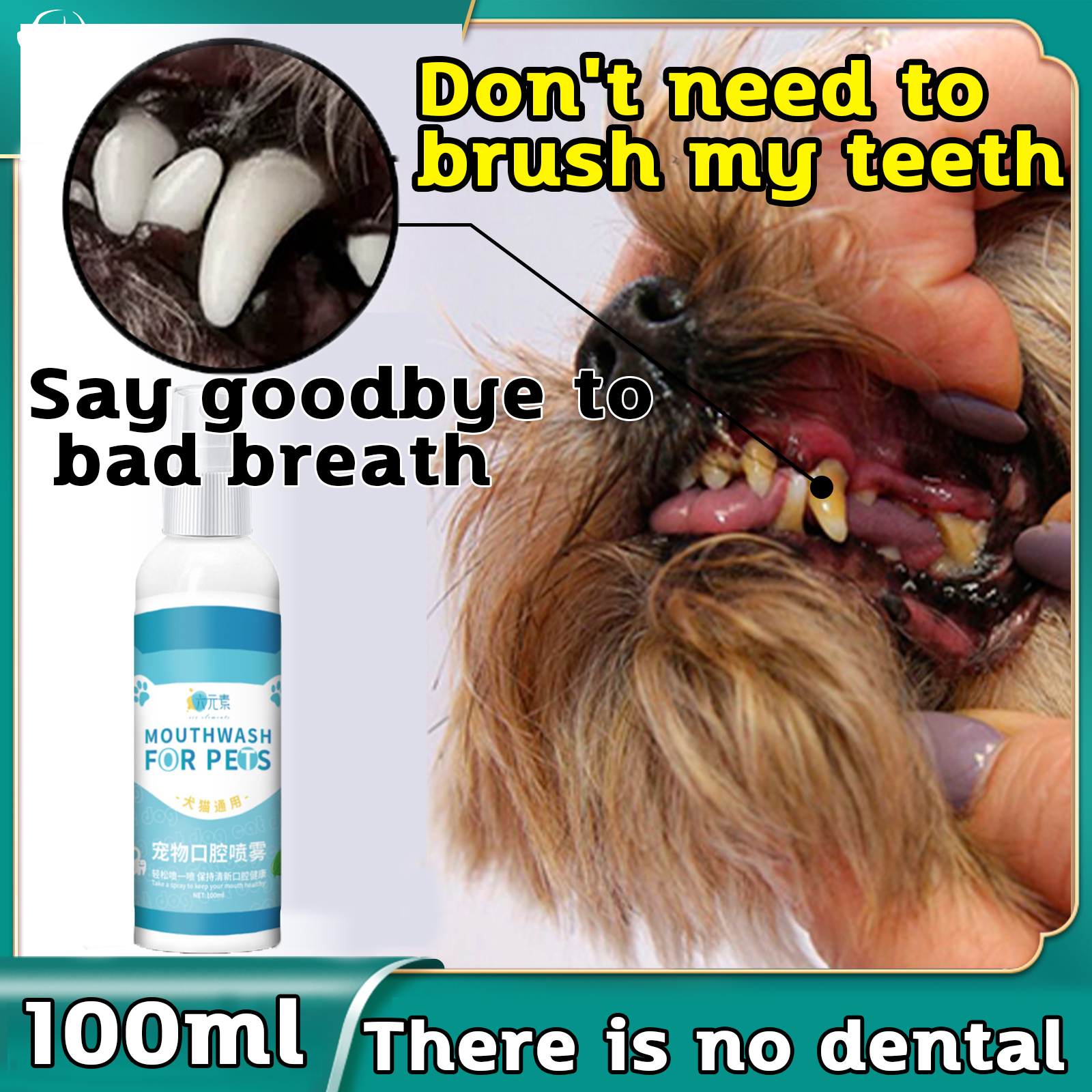Is Trudog Dental Spray Safe For Dogs