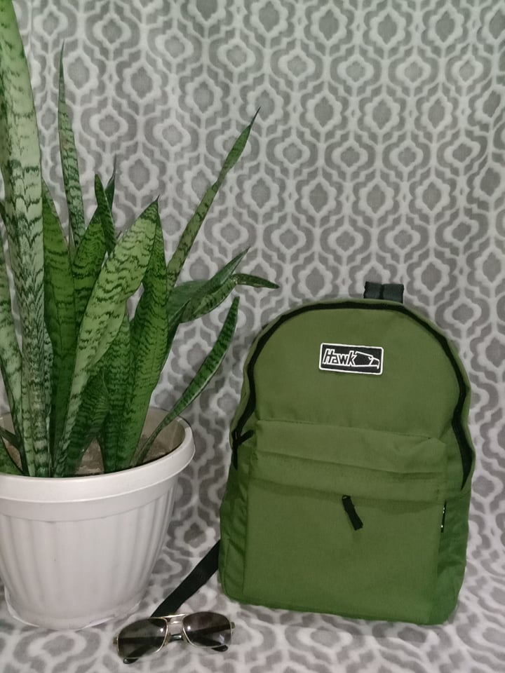 DMS HAWKS BAG/BACKPACK/ PLAIN GREEN Lazada PH