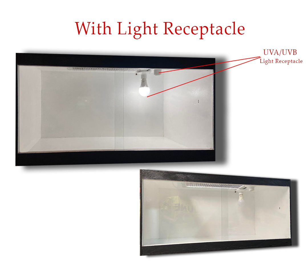 Reptile Enclosure Lazada PH