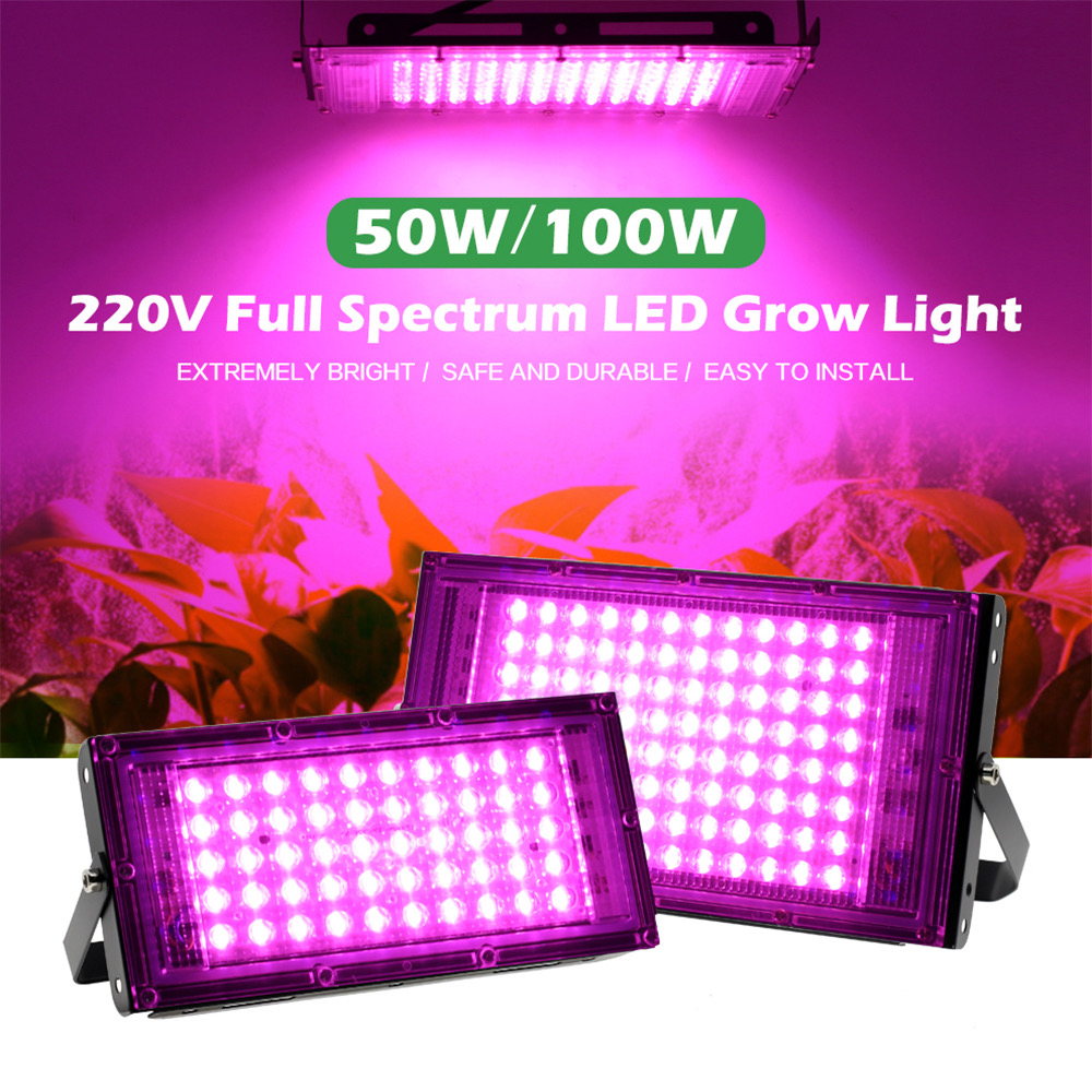 MEGATOP Grow Light AC220V 50W LED Full Spectrum LED Floodlight Phyto Lamp Plant Growth Lighting for Flowers Seedlings | Lazada PH