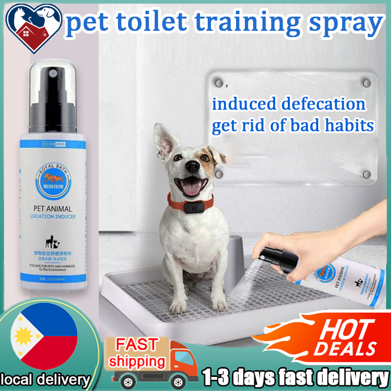 Are Dogs Bad For Environment