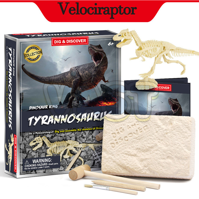 DIY archaeological excavation toolkit for the dinosaur era, excavating ...