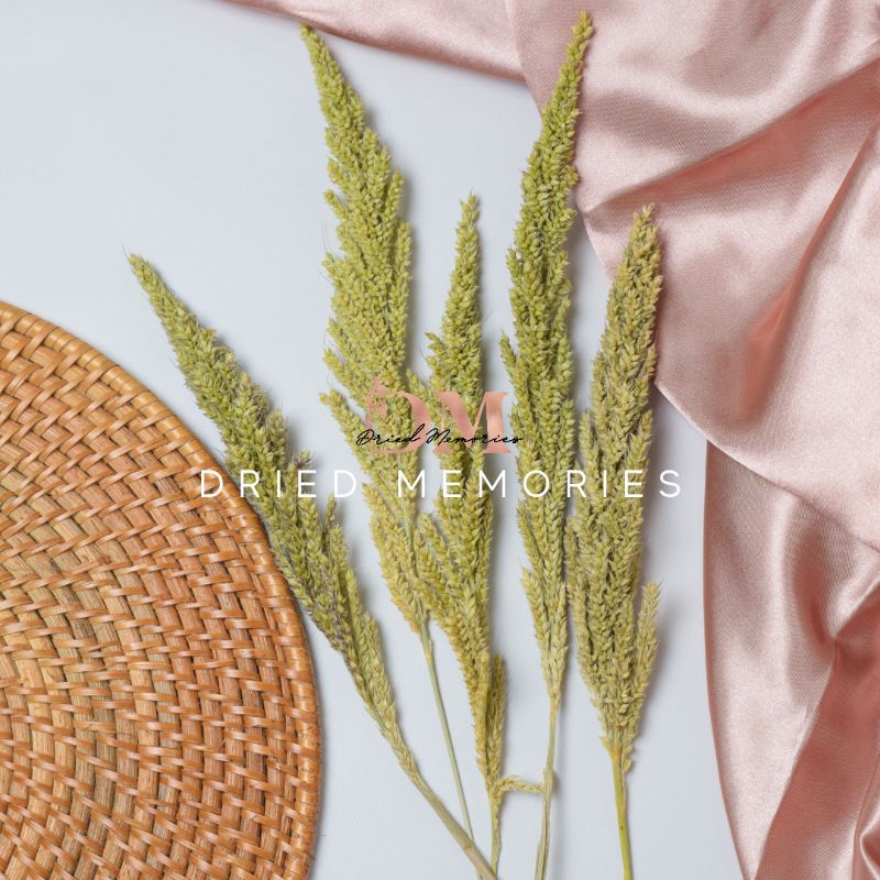 Dried Flowers MINI Boquet (For Resins and Crafts) Dried Memories PH