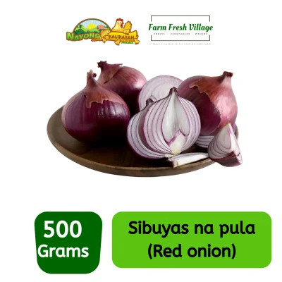FARM FRESH VILLAGE - Red Onion 500 grams