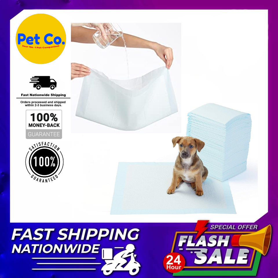 trained companion dogs for sale