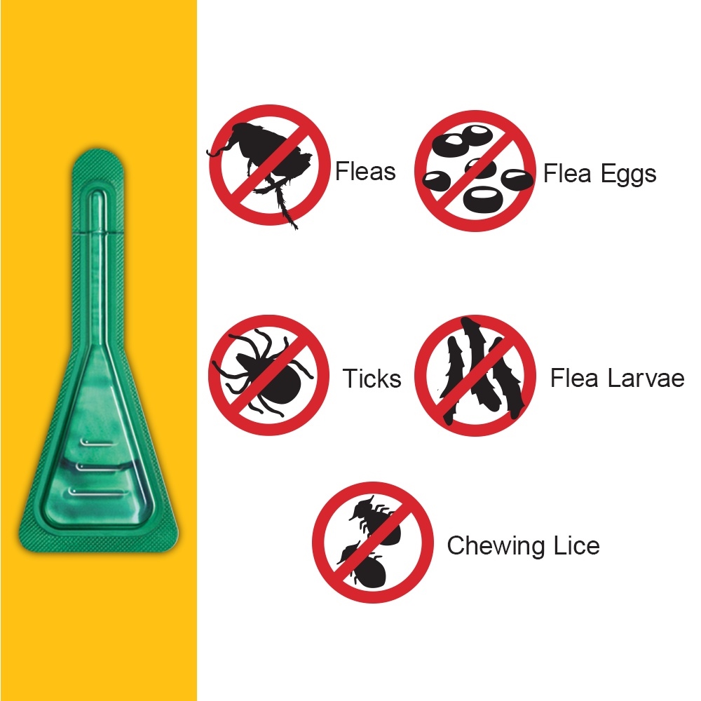 FRONTLINE Flea Tick Treatment for Small Dogs (210kg) Lazada PH