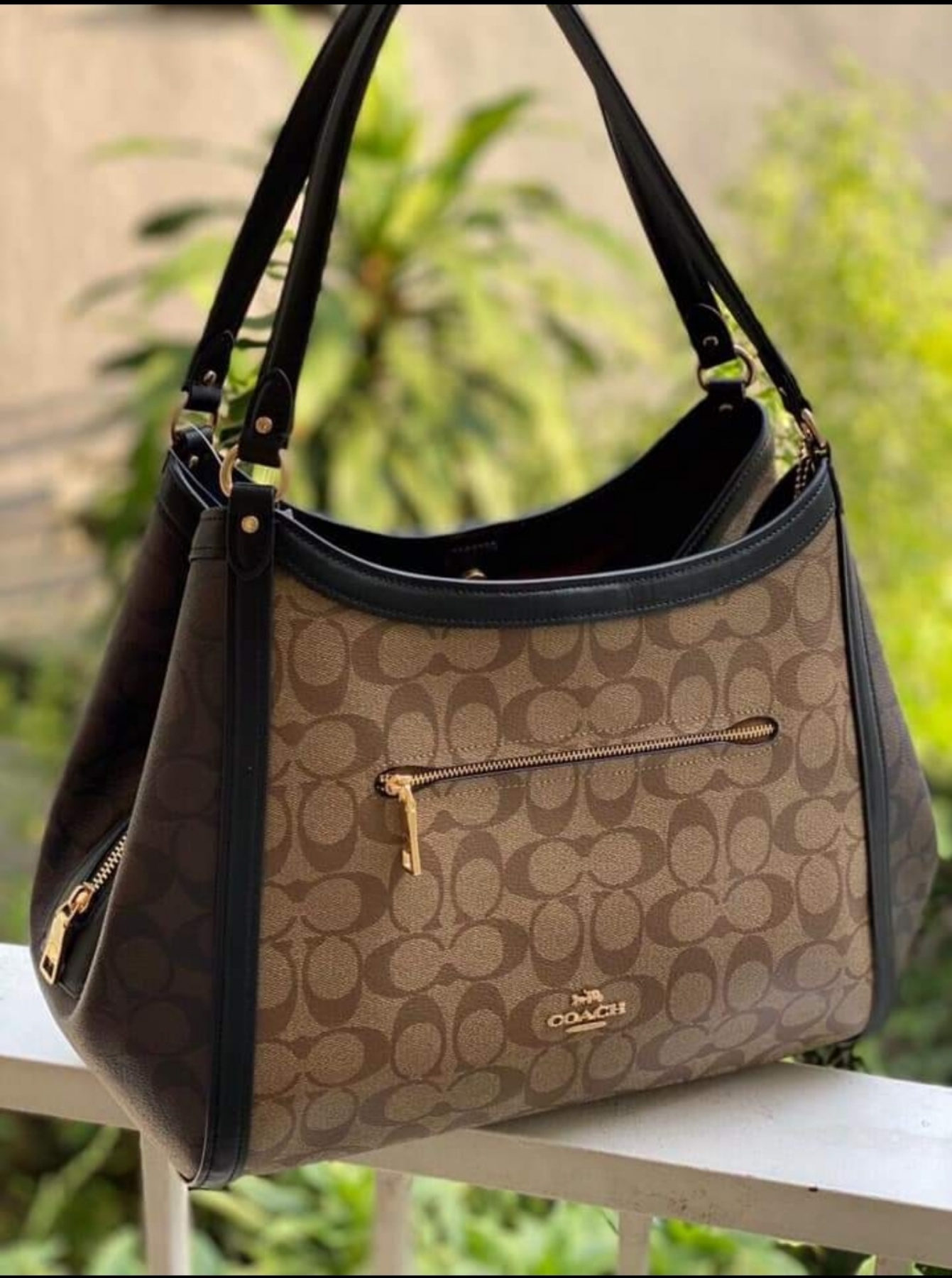 Coach Women's Bag