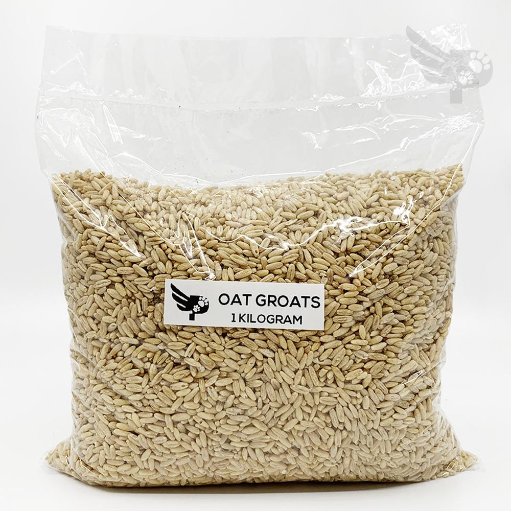 Oat Groat 1kilogram Repacked Bird Feeds Bird Food Philippines Birds Birding pgb
