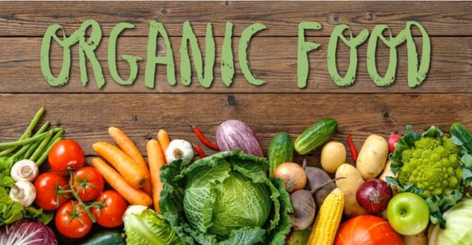 cub organic baby food