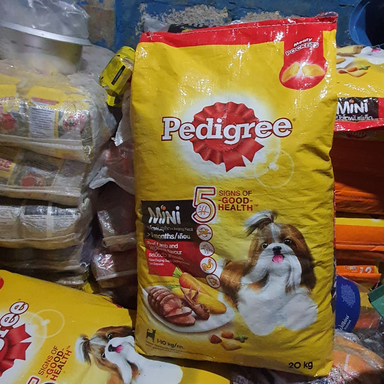 pedigree mini