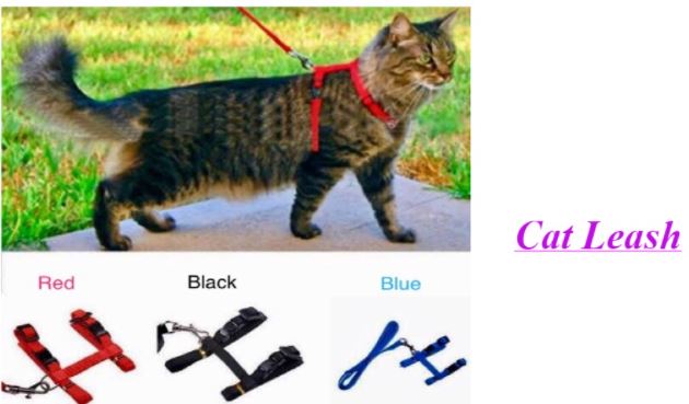 good2go cat harness