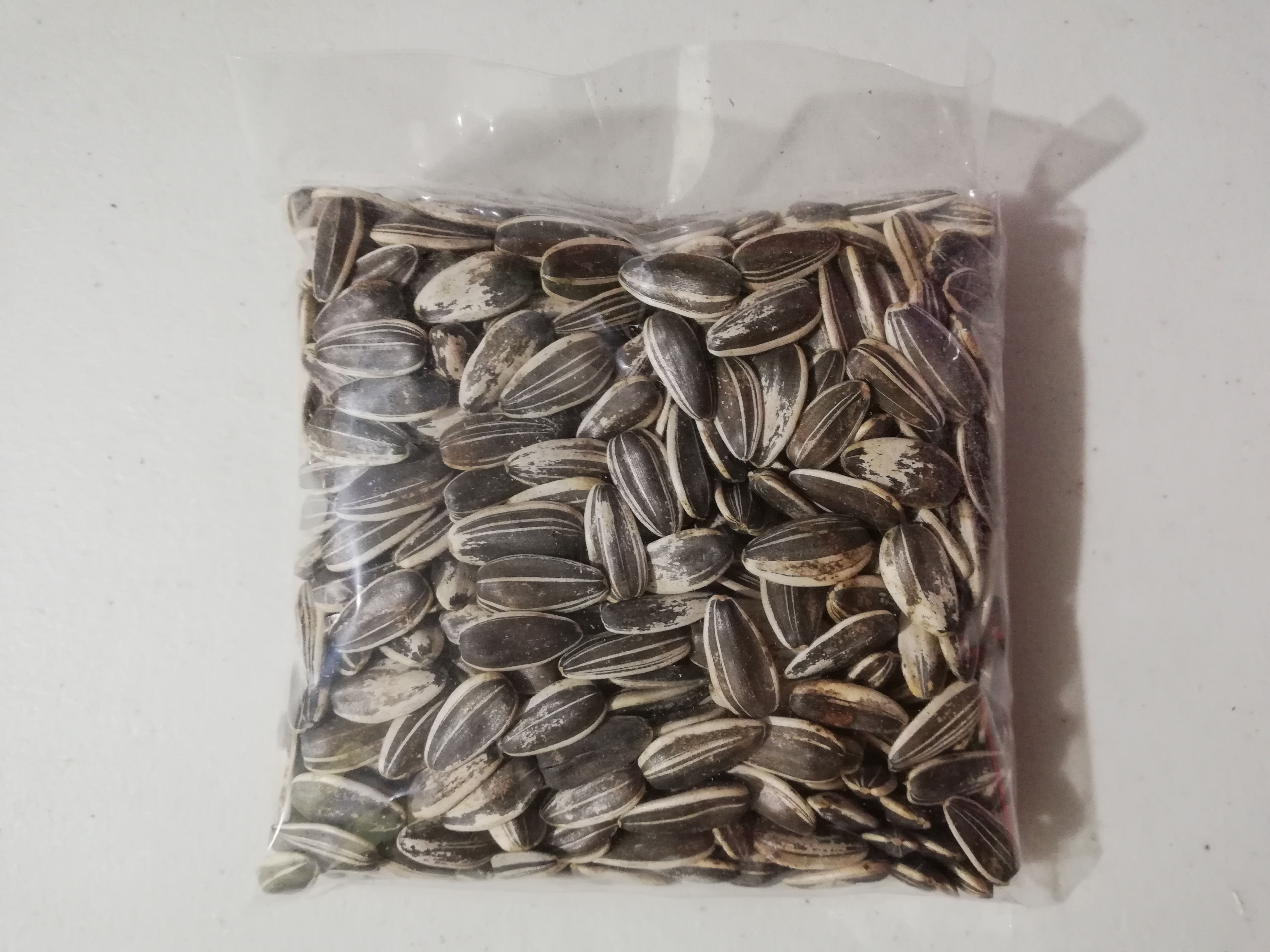 Sunflower Seeds (Hamsters Foods and Treats) 100g Lazada PH