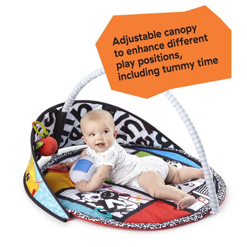 baby einstein bold new world play mat