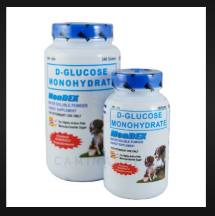 Dextrose water shop for dogs